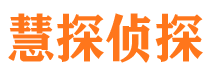 龙子湖侦探公司